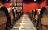 bodegaspacogarcia2