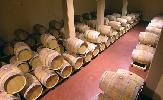 bodegasmartue3
