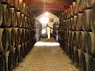 bodegasgongora3