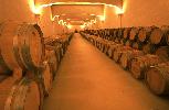 bodegaskefren1