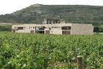 bodegahaciendaabascal1