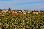 vinospeningles1