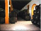 bodegasinfante2