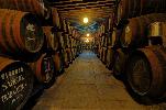 bodegasgutierrezcolosia5