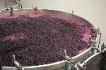 fermentacion_vino