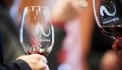 vinos_do_navarra1