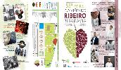 ribeiro_2018a