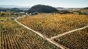 stairway_vinalanciano1
