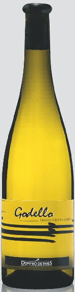 Image of Wine bottle Dominio de Tares Godello FB