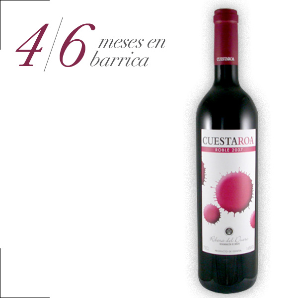 Imagen de la botella de Vino Cuestaroa Roble