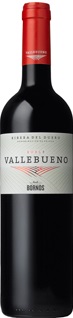 Imagen de la botella de Vino Vallebueno Roble
