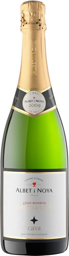 Imagen de la botella de Vino Albet i Noia Brut Nature G. Reserva