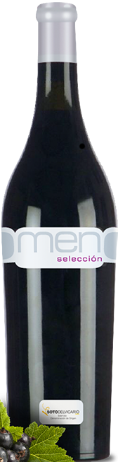 Image of Wine bottle Pago del Vicario Men Selección