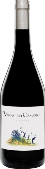 Imagen de la botella de Vino Viñas del Cámbrico Ecológico