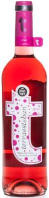 Logo del vino Terraesteban Rose