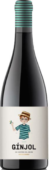 Imagen de la botella de Vino Ginjol