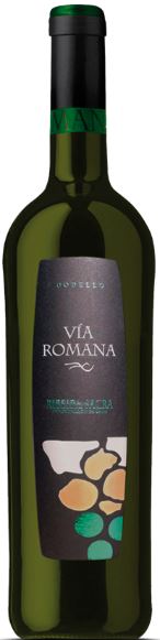 Imagen de la botella de Vino Vía Romana Godello