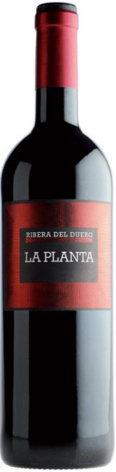 Imagen de la botella de Vino La Planta de Arzuaga