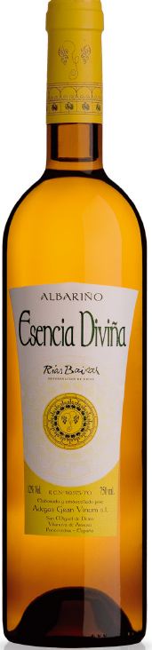 Logo Wine Esencia Diviña