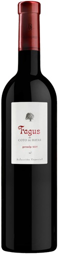 Imagen de la botella de Vino Fagus