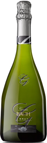 Imagen de la botella de Vino Gran Bach Cava Brut