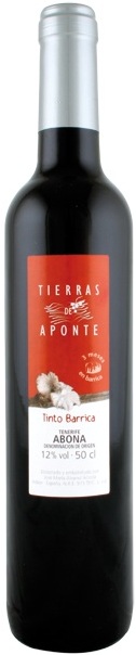 Imagen de la botella de Vino Tierras de Aponte Tinto 3 meses Barrica