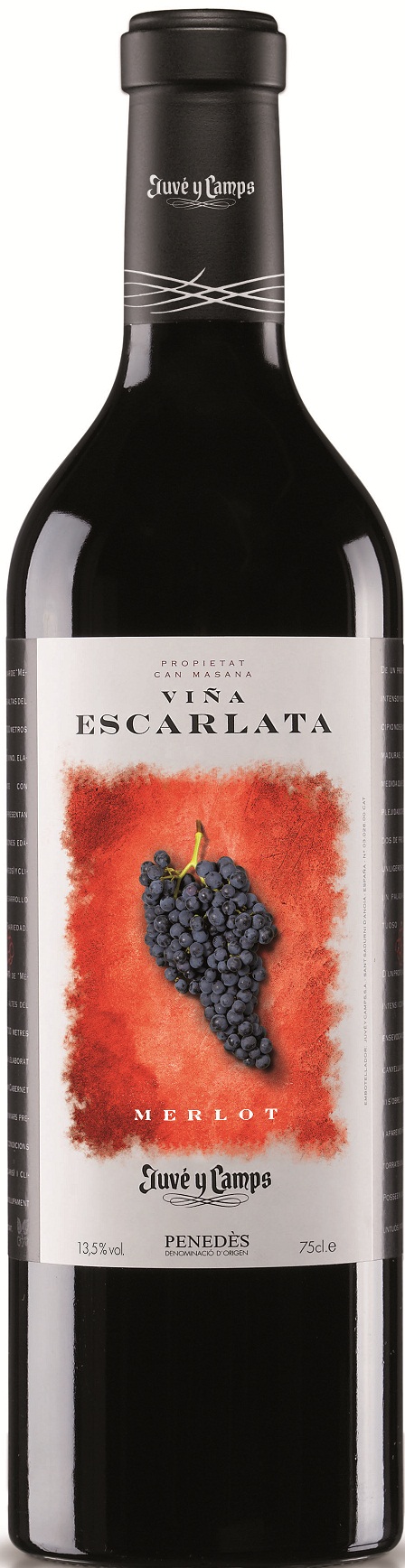 Image of Wine bottle Viña Escarlata
