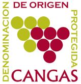 Logo of the VC CANGAS