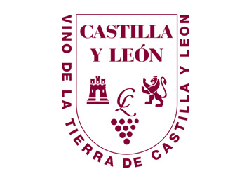 Logo de la zona VT CASTILLA Y LEON