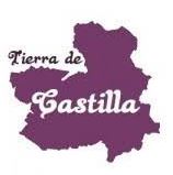 Logo of the VT CASTILLA